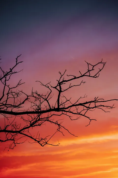 Cielo Sfumato Sfondo per Telefono · gradient · 1440×2160