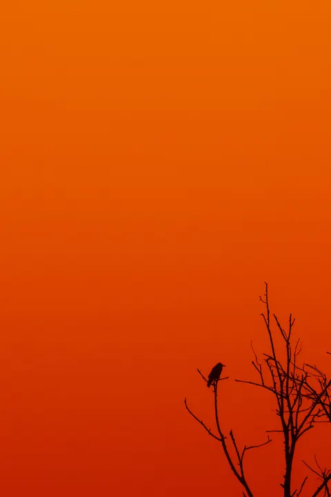 Langit Memudar Wallpaper HP · gradient · 1440×2160