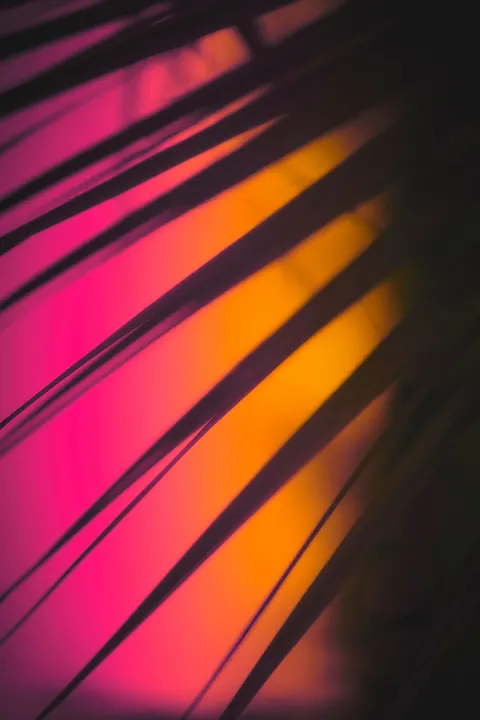 Fond d'écran mobile Néon en Fondu · gradient · 1440×2160