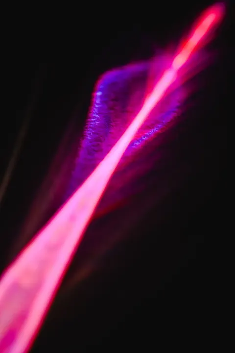 नियॉन फेड मोबाइल वॉलपेपर · gradient · 1440×2160
