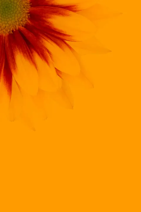 Sfocatura Calda Sfondo per Telefono · gradient · 1440×2160
