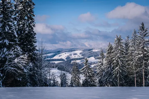 Fondo de pantalla Nieve de invierno 4K · nature · 3840×2560