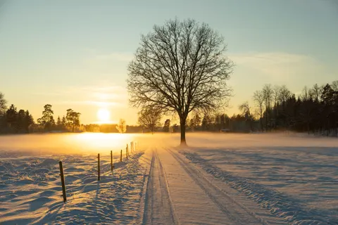 Fond d'écran Neige d'hiver 4K · nature · 3840×2560