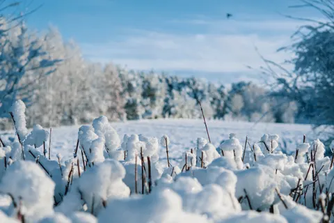 Winterschnee 4K Hintergrundbild · nature · 3840×2560