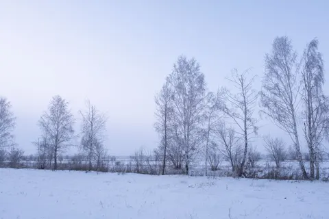 Winterschnee 4K Hintergrundbild · nature · 3840×2560