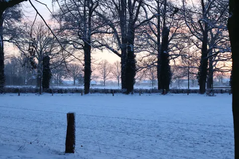 Winter Snow 4K Wallpaper · nature · 3840×2560