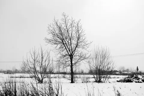 Winter Snow 4K Wallpaper · nature · 3840×2560