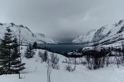 Winter Snow 4K Wallpaper · nature · 3840×2560