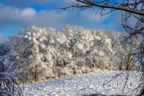 Winter Snow 4K Wallpaper · nature · 3840×2561