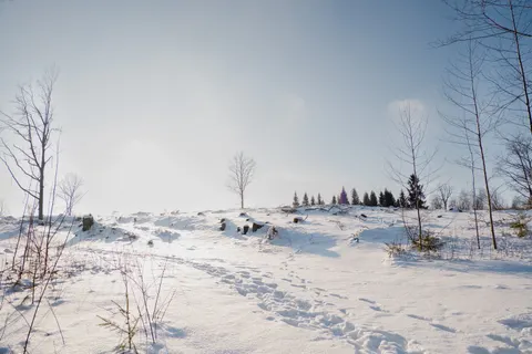 Fondo de pantalla Nieve de invierno 4K · nature · 3840×2560