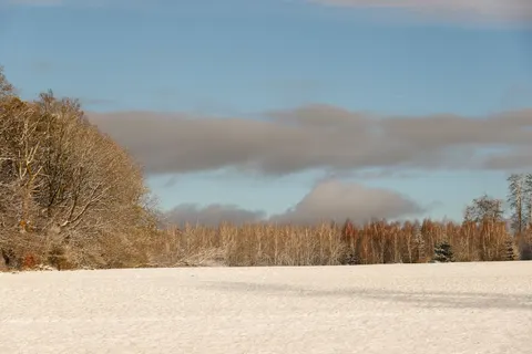 Fondo de pantalla Nieve de invierno 4K · nature · 3840×2560