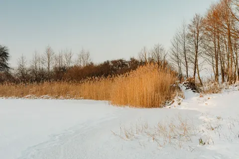 Winter Snow 4K Wallpaper · nature · 3840×2560