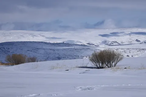 Winter Snow 4K Wallpaper · nature · 3840×2560