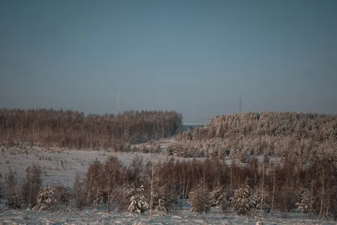 겨울 눈 4K 배경화면 · nature · 3840×2560