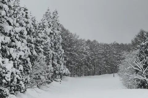خلفية ثلج الشتاء بدقة 4K · nature · 3840×2560