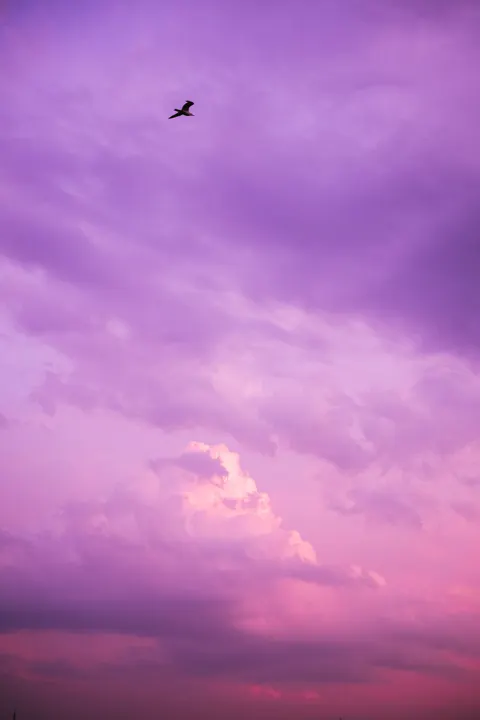 Sfumatura Viola Sfondo per Telefono · gradient · 1440×2160