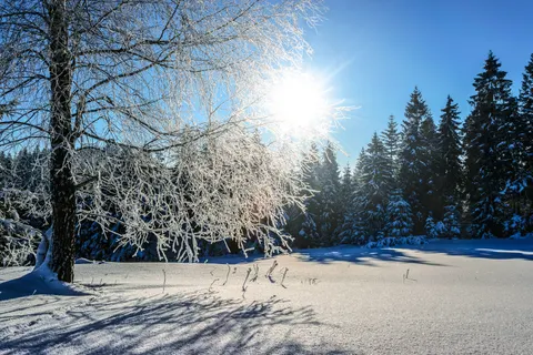 Fond d'écran Neige d'hiver 4K · nature · 3840×2560