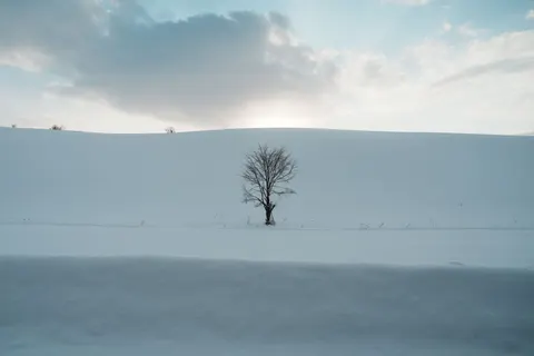Fond d'écran Neige d'hiver 4K · nature · 3840×2560