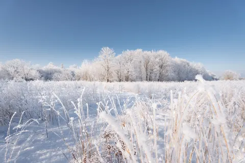 Winter Snow 4K Wallpaper · nature · 3840×2560