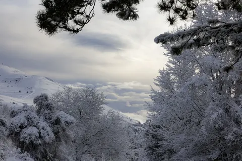 Winter Snow 4K Wallpaper · nature · 3840×2561