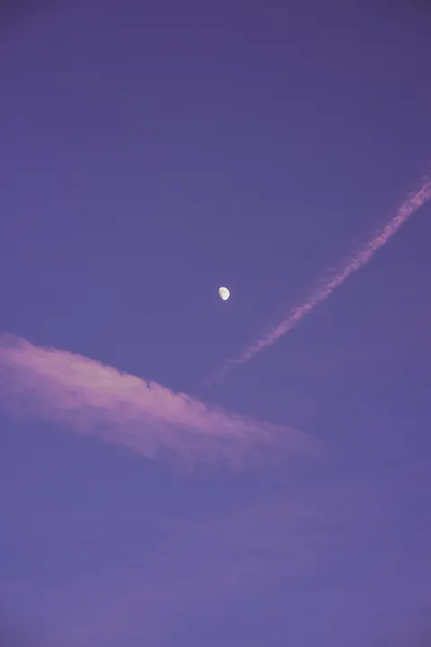 Fond d'écran mobile Dégradé Violet · gradient · 1440×2160