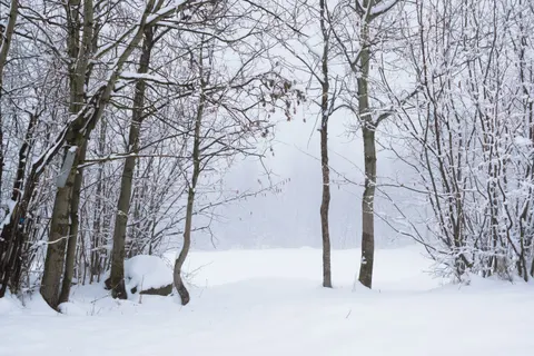 Winter Snow 4K Wallpaper · nature · 3840×2560