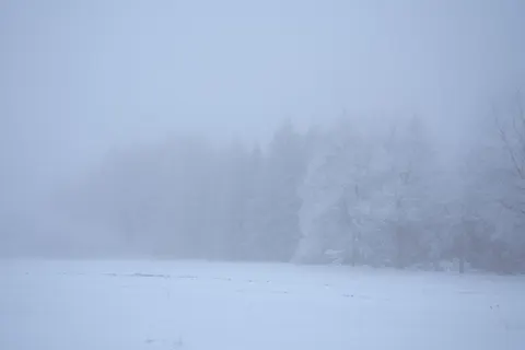 Обои Зимний снег 4K · nature · 3840×2560
