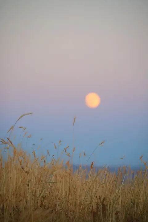 日落漸層 手機桌布 · gradient · 1440×2160