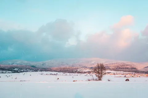 冬日雪景 4K壁纸 · nature · 3840×2560