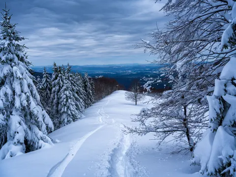Winter Snow 4K Wallpaper · nature · 3840×2880