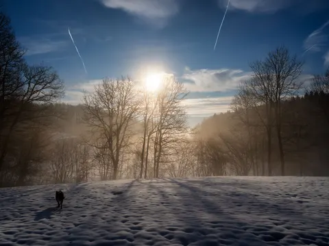 خلفية ثلج الشتاء بدقة 4K · nature · 3840×2880