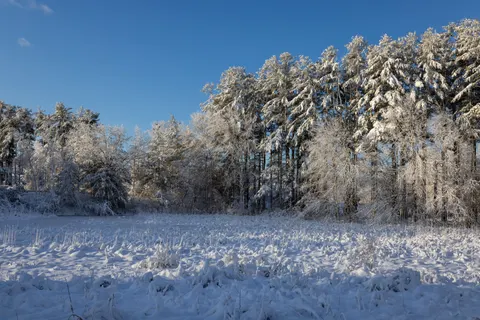 Winter Snow 4K Wallpaper · nature · 3840×2561