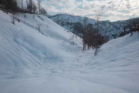 Обои Зимний снег 4K · nature · 3840×2560