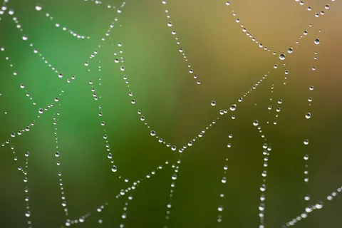 빗방울 4K 배경화면 · nature · 3840×2560