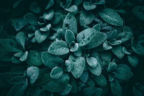 Rain Drops 4K Wallpaper · nature · 3840×2560
