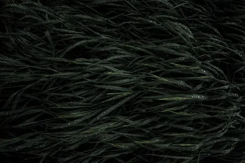 Rain Drops 4K Wallpaper · nature · 3840×2560