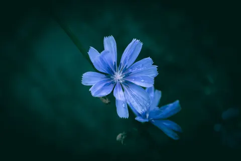 雨滴 4K壁纸 · nature · 3840×2560