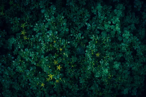 빗방울 4K 배경화면 · nature · 3840×2560