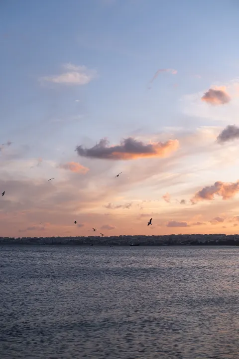 Fond d'écran mobile Dégradé de Coucher de Soleil · gradient · 1440×2160