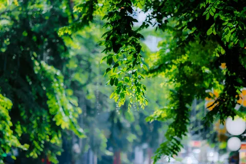 Rain Drops 4K Wallpaper · nature · 3840×2560