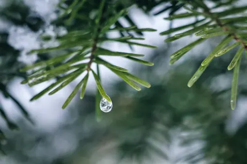 빗방울 4K 배경화면 · nature · 3840×2560