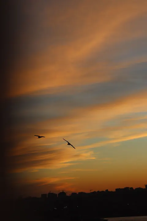 Fond d'écran mobile Dégradé de Coucher de Soleil · gradient · 1440×2160