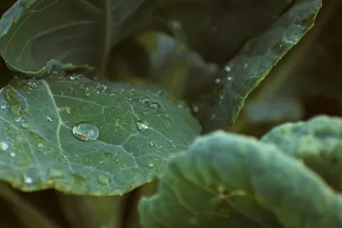 雨滴 4K壁纸 · nature · 3840×2560