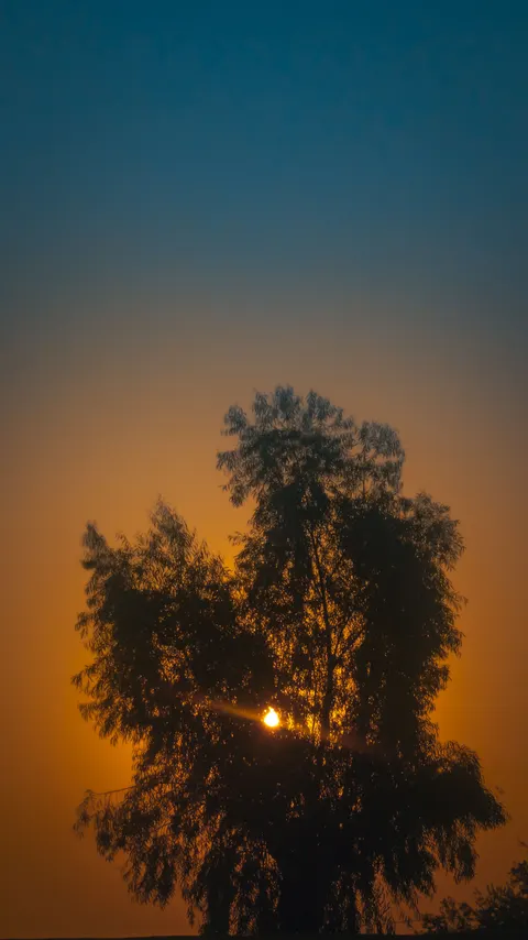 Sfumatura al Tramonto Sfondo per Telefono · gradient · 1440×2561