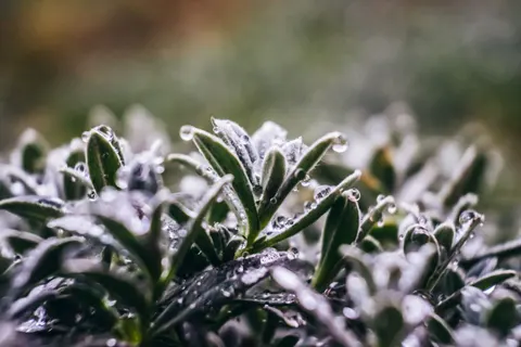 Regentropfen 4K Hintergrundbild · nature · 3840×2560