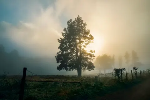 Fondo de pantalla Carretera con niebla 4K · nature · 3840×2560