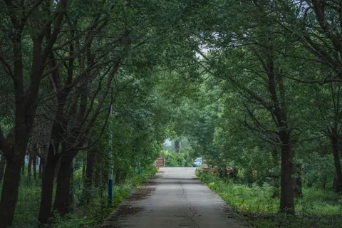 Foggy Road 4K Wallpaper · nature · 3840×2560