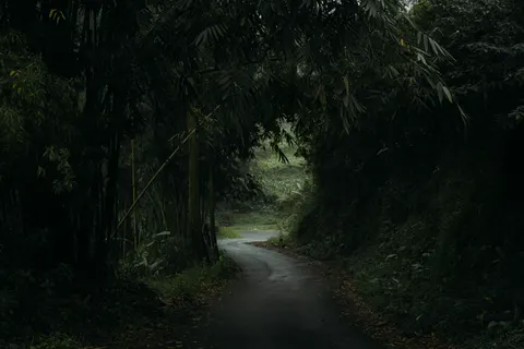 Neblige Straße 4K Hintergrundbild · nature · 3840×2560