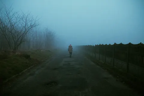 Papel de parede Estrada com neblina 4K · nature · 3840×2560