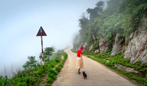 雾中道路 4K壁纸 · nature · 3840×2260